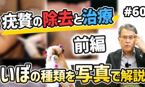 地维公司-地维烯胺的功效及副作用网- 地维烯胺的功效及副作用是什么知识,分享地维是什么工作